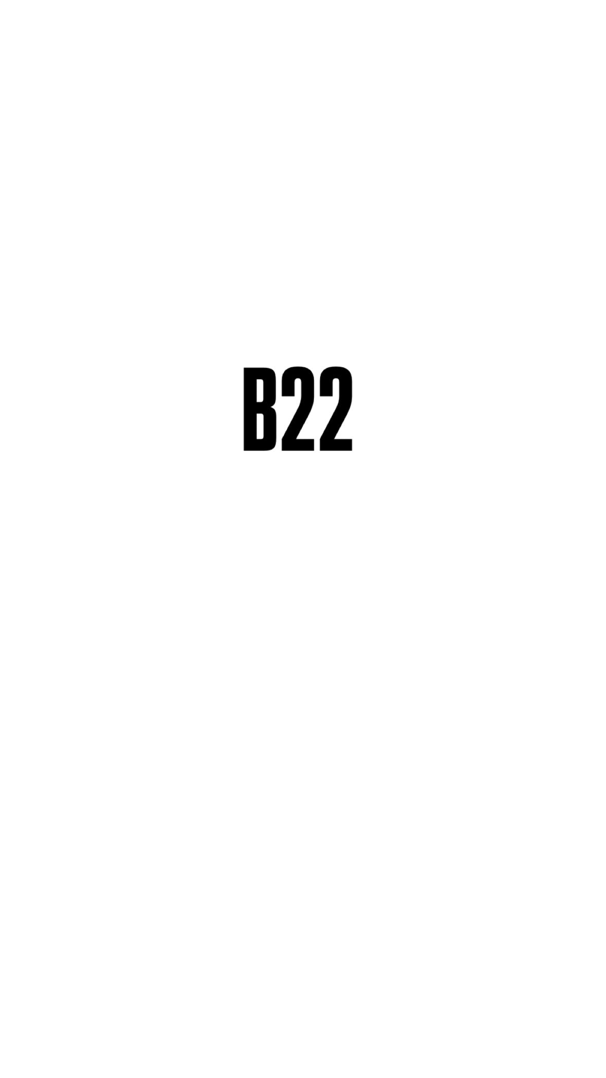 Basket b22